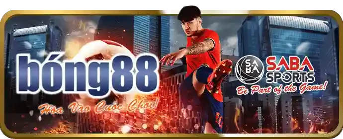 Màn hình hiển thị cá cược trực tiếp với tỷ lệ cược thay đổi và logo dp568 app.